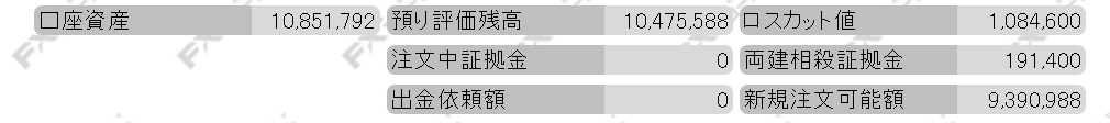 FX ブロードネット 口座資産